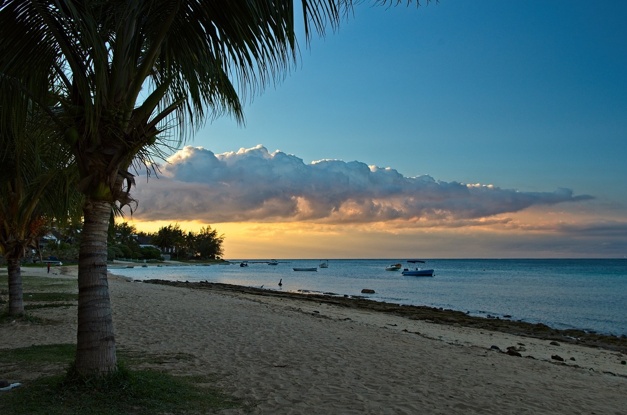 Vocês dois, uma ilha, zero compromissos: por que os casais escol 
